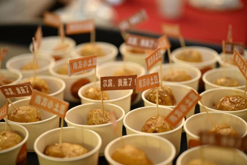 胡陈小土豆“勇闯”哈尔滨：科技助力下的特色农业成果图片1.jpg
