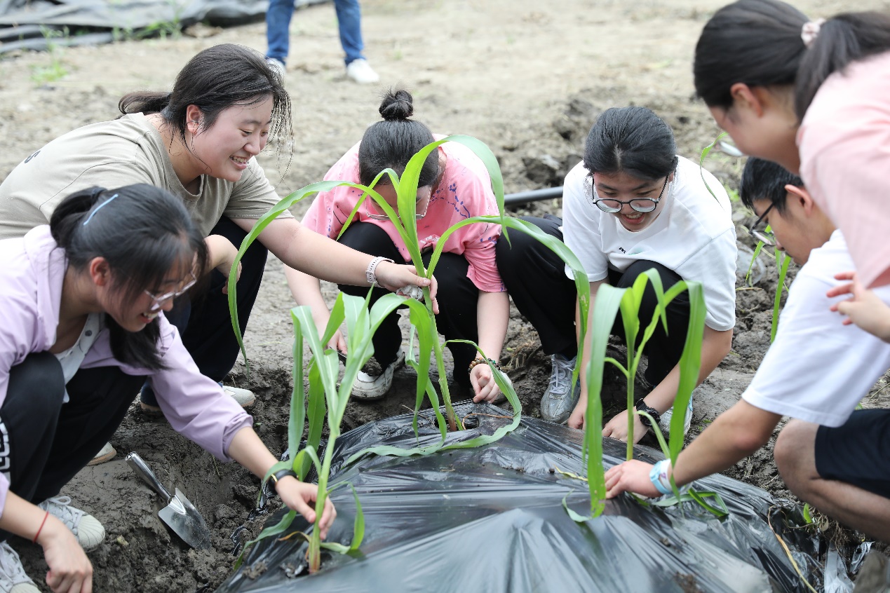 宁波市科学技术协会 学会学术 科普助力乡村振兴系列活动——种地吧!少年科普活动